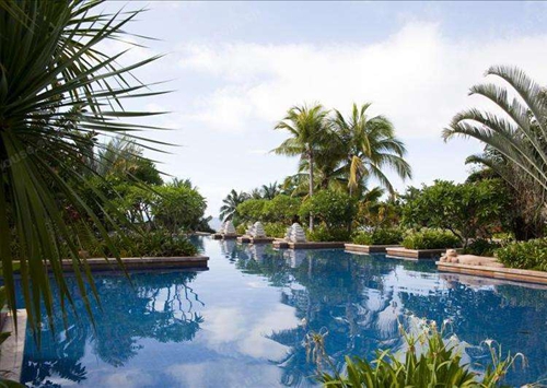 海南保亭县新房业主委员会在物业服务管理中的地位