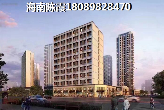 2021定安的房子shengzhi的空间大吗？
