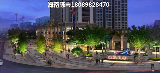 2021年海南琼海的房子shengzhi的空间大吗？