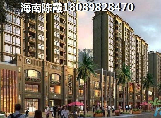 海南海口龙华区的房子未来会shengzhi吗？