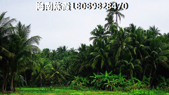 心屿海买房先看心屿海业主评论1