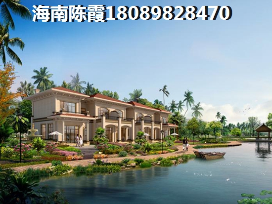 海南海南哪些镇有发展前景