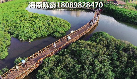 海南三亚属于什么气候适合“候鸟”居住吗？