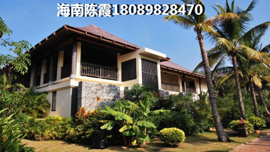 椰子洲岛涨价空间怎么样？