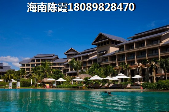 海南今后發展前景最好的項目