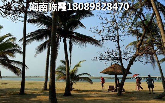 海口未来的发展将会是怎样