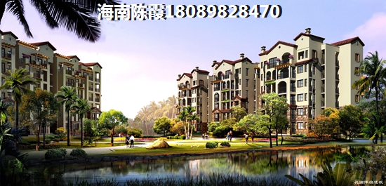 2024元垄 · 望品适合买吗？