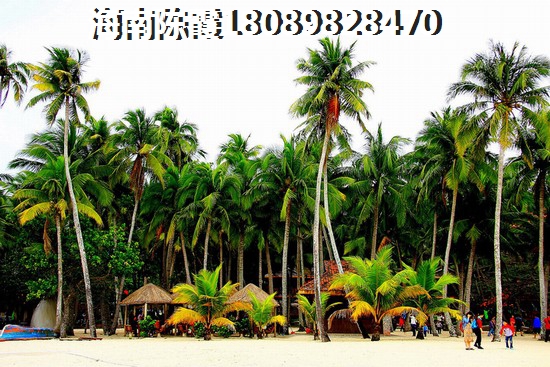 海南乐东县房价持续上涨