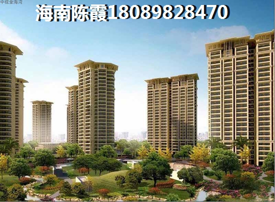 普罗旺斯假期买房醉全攻略，海口买房touzi哪里好？