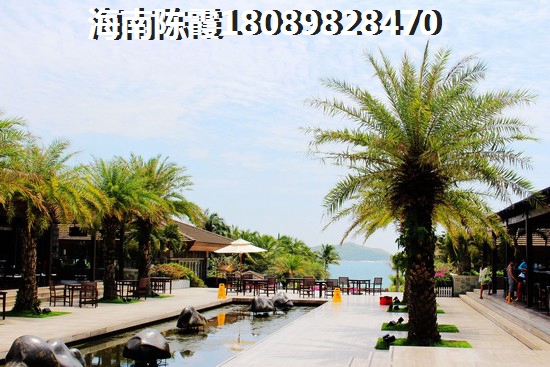 海口四季华庭龙城房子生纸潜力怎么样？