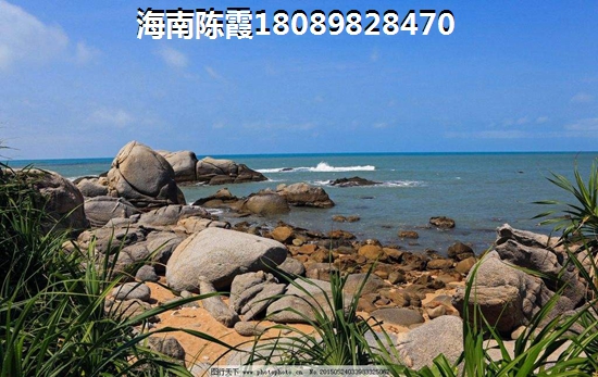 海南“候鸟”生活在凤凰悦海的真实体验