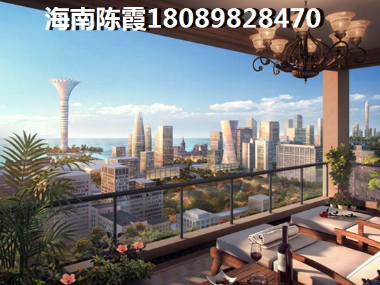 海口醉有生纸潜力的房产