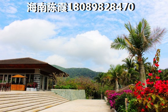 郁金香郡怎么样？2