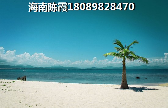 南丽湖上的时光还能生纸吗？