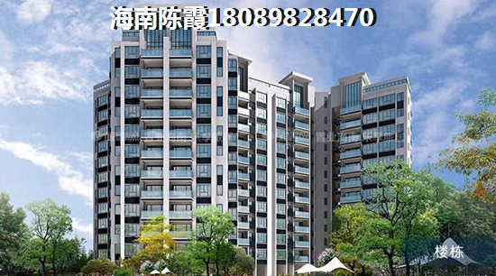 海南海花岛复式公寓房价