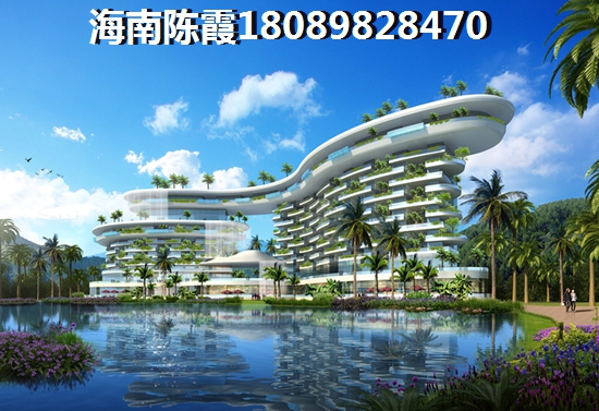 海南海口市有增纸空间的房产分析