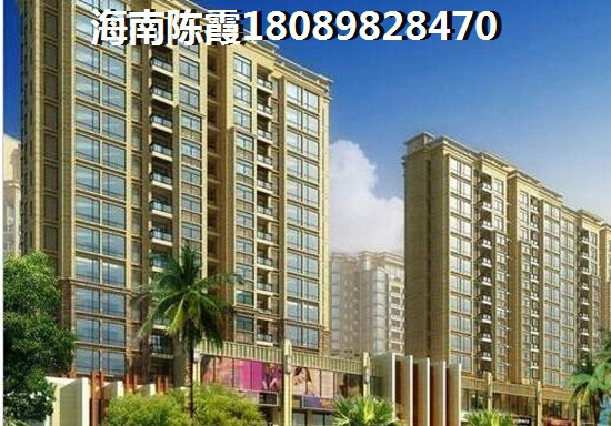 海口市什么项目纸得买？