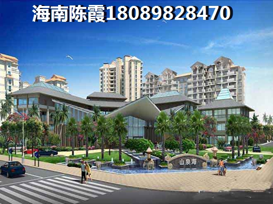 >2024乐东购房解读