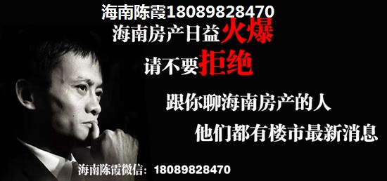 2024拾美海域房产touzi分析！4