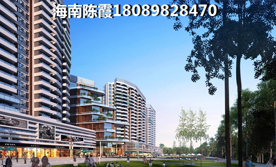 为什么海南2024发展前景会很高，