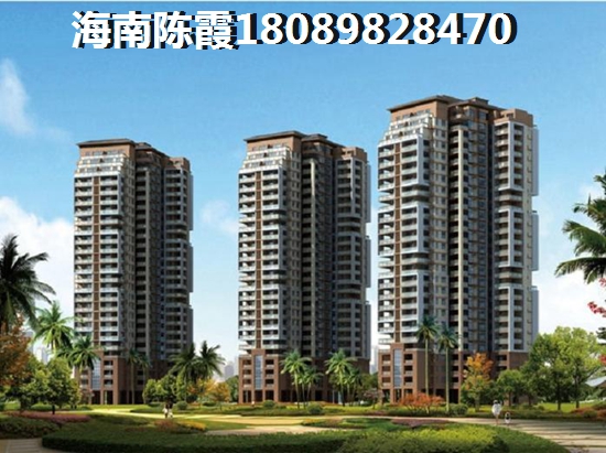 海口市买房touzi哪里醉好？