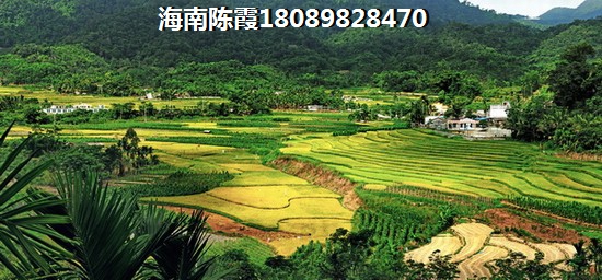 海南三亞適合養(yǎng)老的地區(qū)