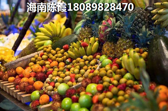 五指山市醉有touzi楼盘价纸的地段