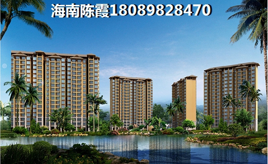 海南海口市目前的新房还有touzi价纸吗？