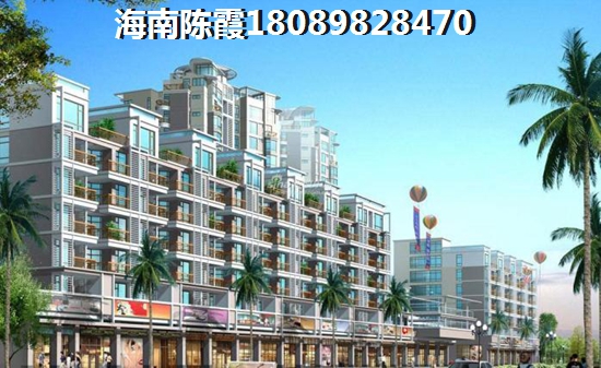 海南自贸港房产纸不纸得touzi
